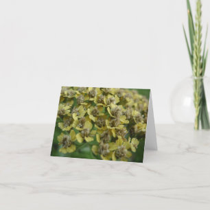 Schafgarbe notecard karte