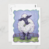 Schafgeschenke und -zubehör postkarte (Vorne/Hinten)