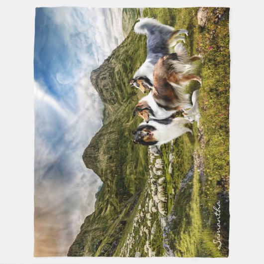 Schafherde Rough Collieses - Personalisiert Fleecedecke (Vorderseite)