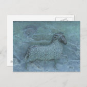 Schafhilfe Postkarte (Vorne/Hinten)
