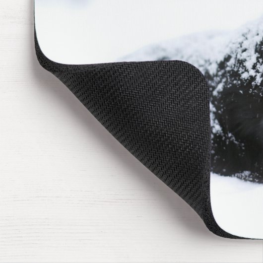 Schafhund (Akbash/Collie-Mix), der während der Mousepad (Ecke)