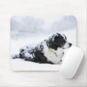 Schafhund (Akbash/Collie-Mix), der während der Mousepad (Mit Mouse)