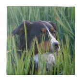 Schafhund im Gras Fliese (Vorderseite)