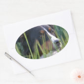 Schafhund im Gras Ovaler Aufkleber (Umschlag)