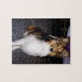Schafhund im Seehund 2 Puzzle (Horizontal)
