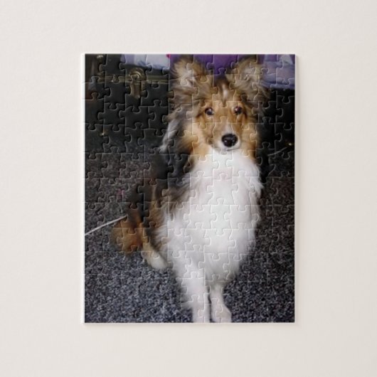Schafhund im Seehund 2 Puzzle (Vertikal)