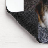 Schafhund im Shetland 2 Mousepad (Ecke)