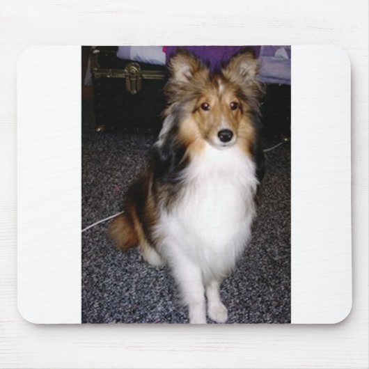 Schafhund im Shetland 2 Mousepad (Vorne)