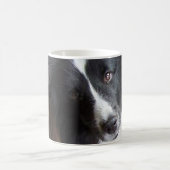 Schafhund schwarz-weiß kaffeetasse (Mittel)