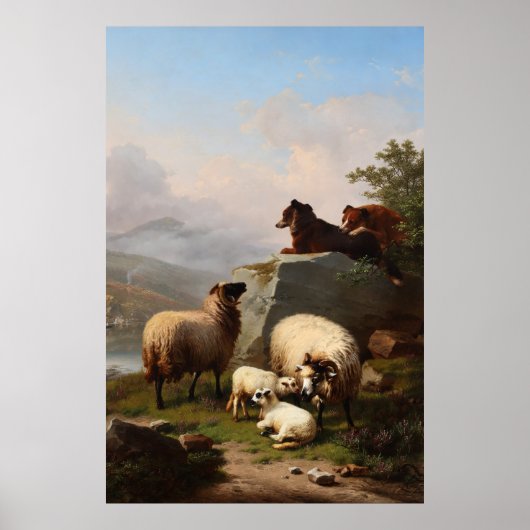 Schafhunde mit Blick auf den Fluss Poster (Vorne)