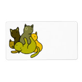 Schafkätzchen (Vorne)