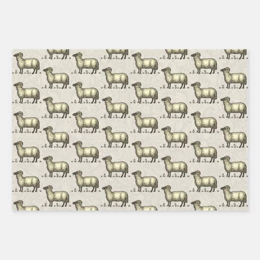 Schaflammfarm Vintag Geschenkpapier Set (Vorderseite 2)