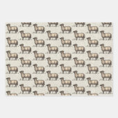 Schaflammfarm Vintag Geschenkpapier Set (Vorderseite)