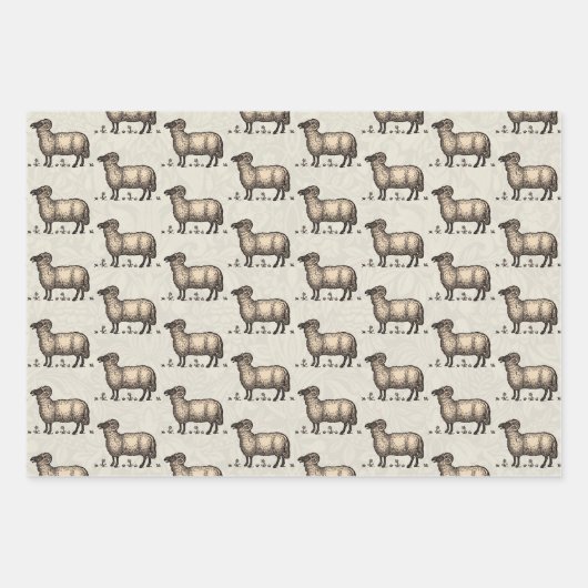 Schaflammfarm Vintag Geschenkpapier Set (Vorderseite)