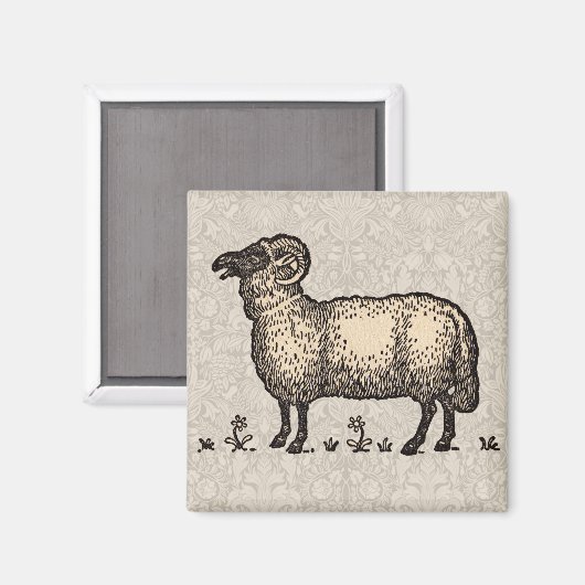 Schaflammfarm Vintag Magnet (Vorderseite/Rückseite)