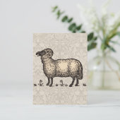 Schaflammfarm Vintag Postkarte (Stehend Vorderseite)