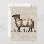 Schaflammfarm Vintag Postkarte (Vorne/Hinten)