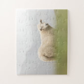Schafnatur-Foto Puzzle (Vertikal)
