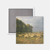 Schafschaf in einer Landschaft Magnet (Vorderseite/Rückseite)