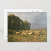 Schafschaf in einer Landschaft Postkarte (Vorne/Hinten)