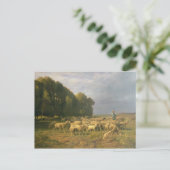 Schafschaf in einer Landschaft Postkarte (Stehend Vorderseite)