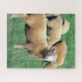 Schafschau Puzzle (Horizontal)