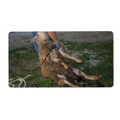 Schafshören (Vorne)