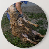 Schafshören Button (Vorderseite)