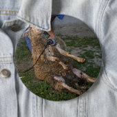 Schafshören Button (Beispiel)