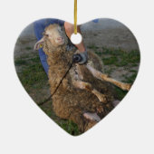 Schafshören Keramik Ornament (Hinten)