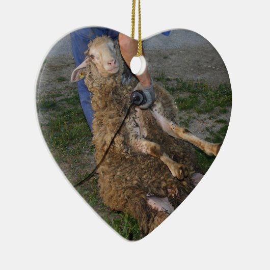 Schafshören Keramikornament (Rechts)