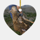 Schafshören Keramikornament (Vorne)