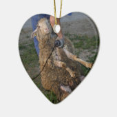 Schafshören Keramikornament (Links)