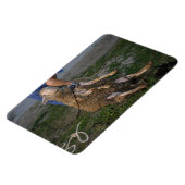 Schafshören Magnet (Linke Seite)