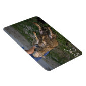 Schafshören Magnet (Rechte Seite)