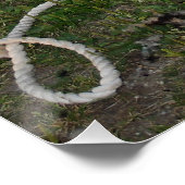 Schafshören Poster (Ecke)