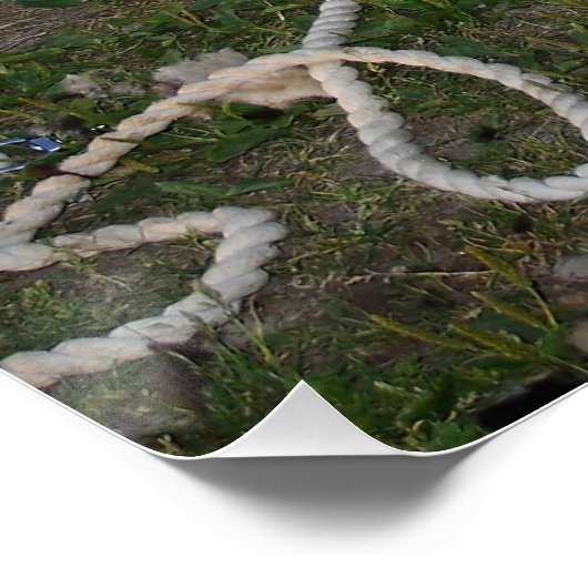 Schafshören Poster (Ecke)