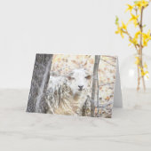 Schafskarte Karte (Gelbe Blume)