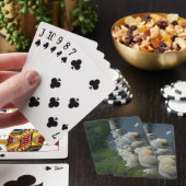 Schafskarten Spielkarten (In Situ)