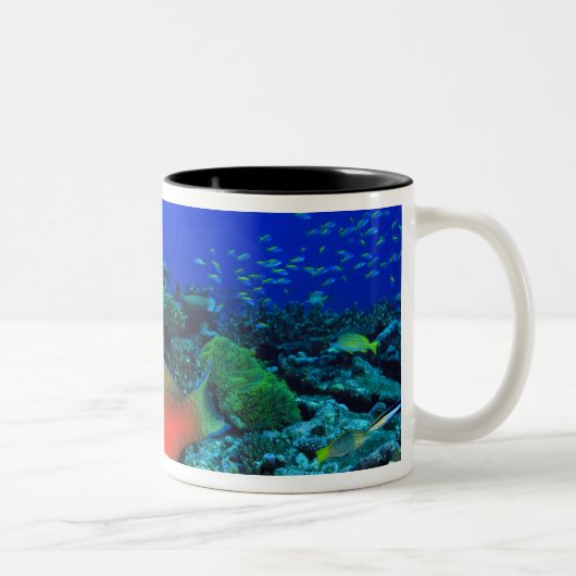 Schafskopf Zweifarbige Tasse (Rechts)