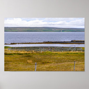 Schafsortierung durch einen Fjord, Island Poster