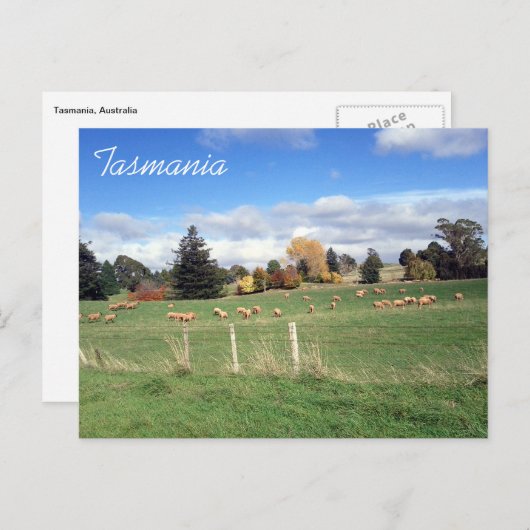 Schaftasmanie Postkarte (Vorne/Hinten)