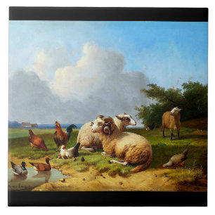 Schafweide Vintage-Enten Hühner-Farmfliese Fliese