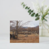 Schafweiden auf der Postkarte (Stehend Vorderseite)