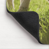 Schafweiden im Gras Mousepad (Ecke)