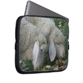 Schafweiden mit Lop-Ohr Laptopschutzhülle (Vorne Rechts)