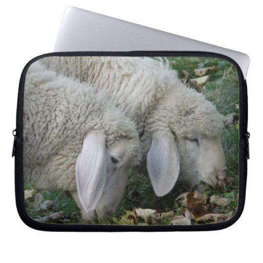 Schafweiden mit Lop-Ohr Laptopschutzhülle (Vorderseite)