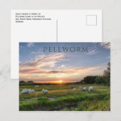 Schafweiden, Sonnenuntergang, Pellworm Island, Deu Postkarte (Vorne/Hinten)