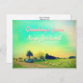 Schafzuchtbetriebe in Neuseeland Postkarte (Vorne/Hinten)