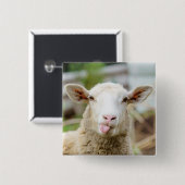 Schafzunge Button (Vorne & Hinten)